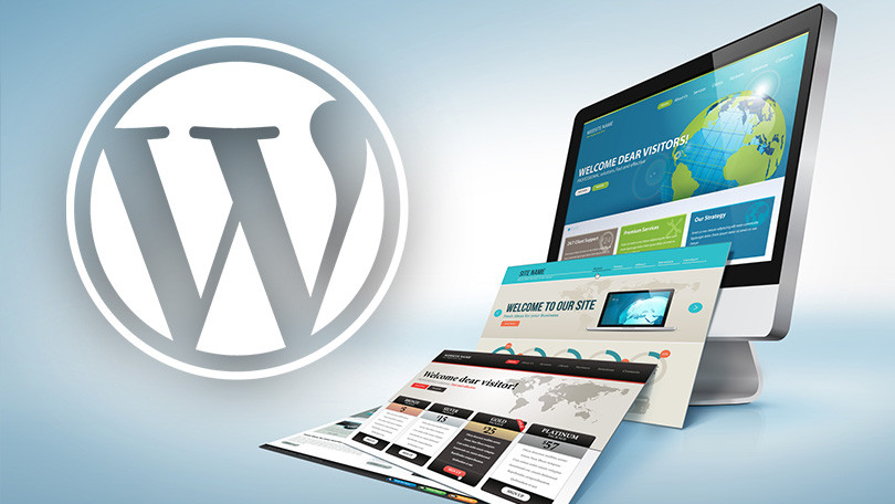 Website design services in Melbourne